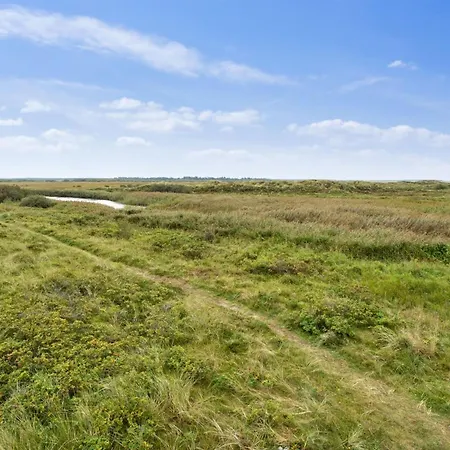 Swana - 550m From The Sea In Western Jutland By Interhome Casa de Férias